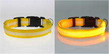 8 Color LED Pet Collar Flashing Light